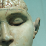 How Does Ketamine Affect the Human Brain?